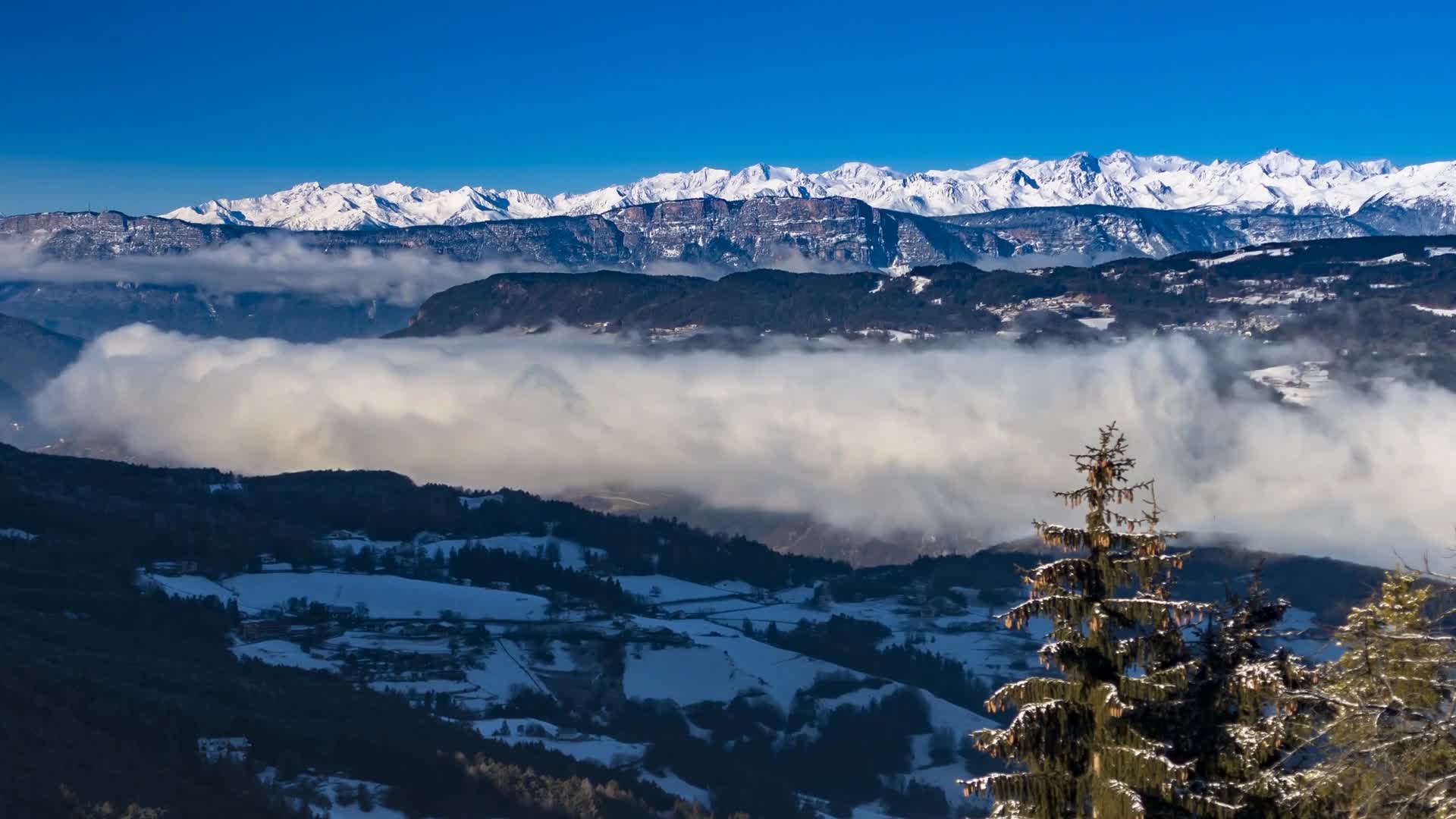 Snow 052 Lively Wallpaper