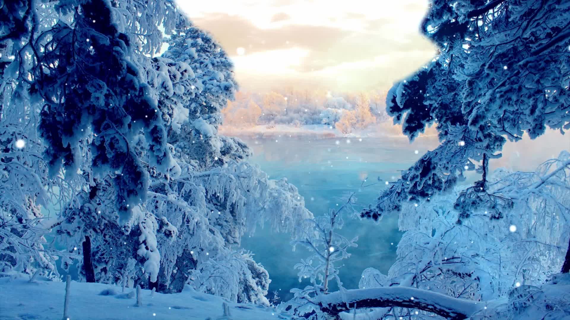 Snow 060 Lively Wallpaper