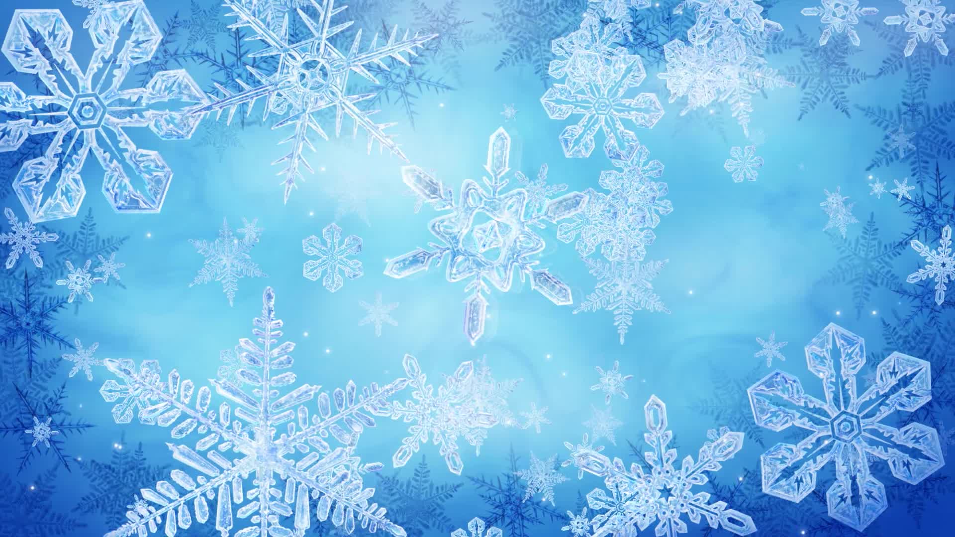 Snow 065 Lively Wallpaper