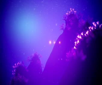 Koral Coral Ocean Sea Fish Video Wallpaper