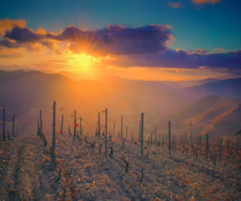 sunset series live wallpaper free