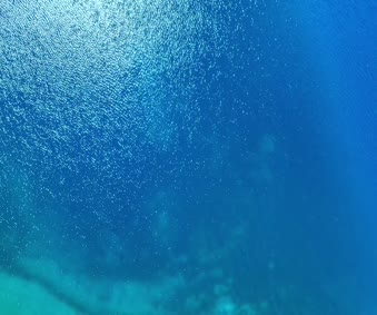 Lake Hellena Lassen National Park Close Video Wallpaper