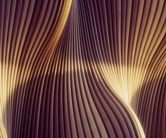 Wood Art Wave Curve Live Wallpaper