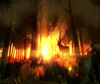 Sunset Deer Live Wallpaper Engine