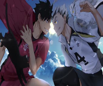 Anime Cats Vs Owls Haikyu Live Wallpaper