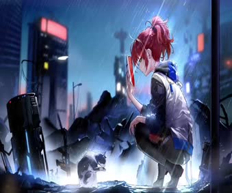 2K Exusiai Arknights With Cat In The Rain Live Wallpaper