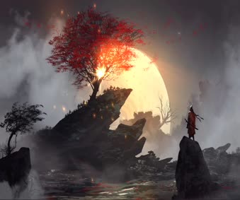 Live Samurai Wallpaper