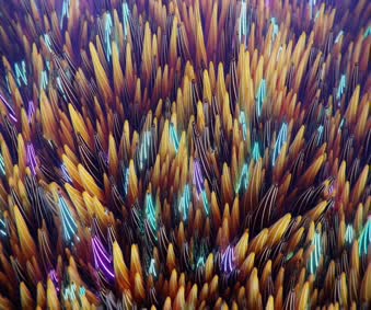 Cute Preppy Wallpapers