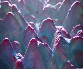 Cute Preppy Wallpaper