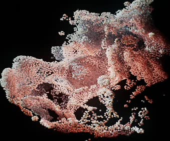 Preppy Wallpaper Ipad