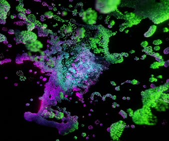 Preppy Wallpapers For Iphone