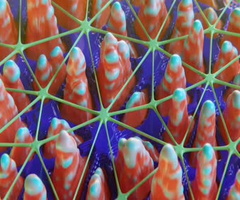 Preppy Wallpaper For Computer