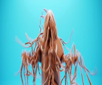 Preppy Smiley Faces Wallpaper