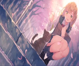 Live Haruiro Step Anime Wallpaper