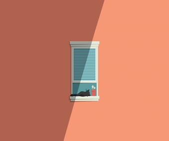 Sleepy Cat 1920x1080 Live Wallpaper