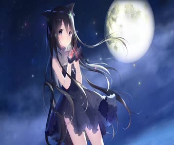 Starry Sky Train Live Wallpaper