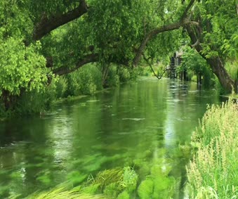 Azumino Water Scenery Live Wallpaper