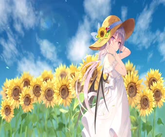 Sunflower Live Wallpaper