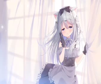 Amairo Chocolate Live Wallpaper