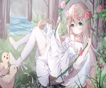 Summer Forest Live Wallpaper