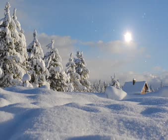 Snow Day Live Wallpaper