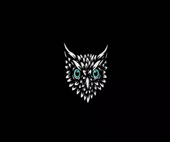 Owl Head Live Wallpaper