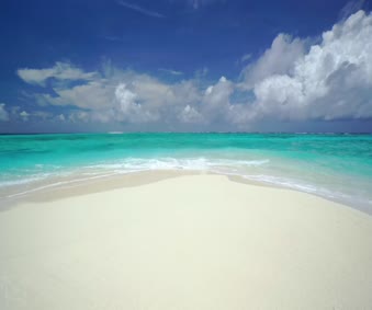 Tropical Beach Waves Hawaii Live Wallpaper