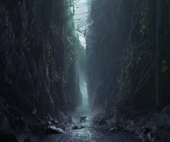 The Black Cat Adventure Live Wallpaper