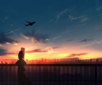 Fly Freedom Live Wallpaper