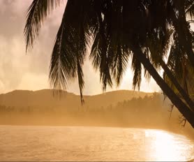 Beach Live Wallpaper