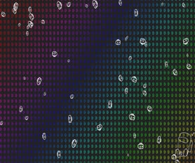 Among Us Live Wallpaper