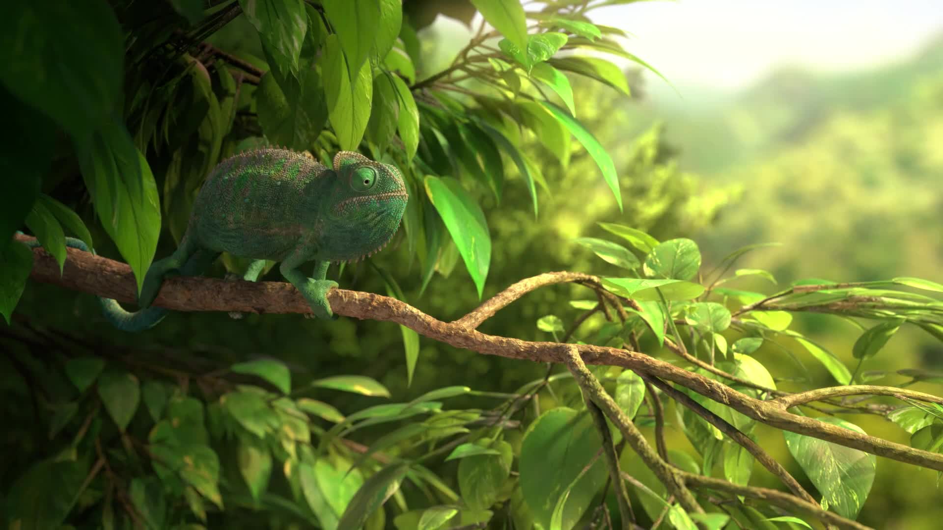 chameleon candy magic grey purple