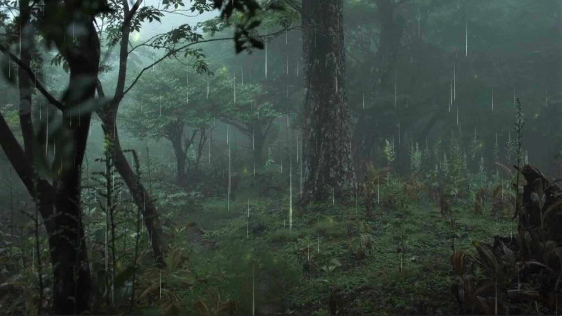 fairy grunge wallpaper