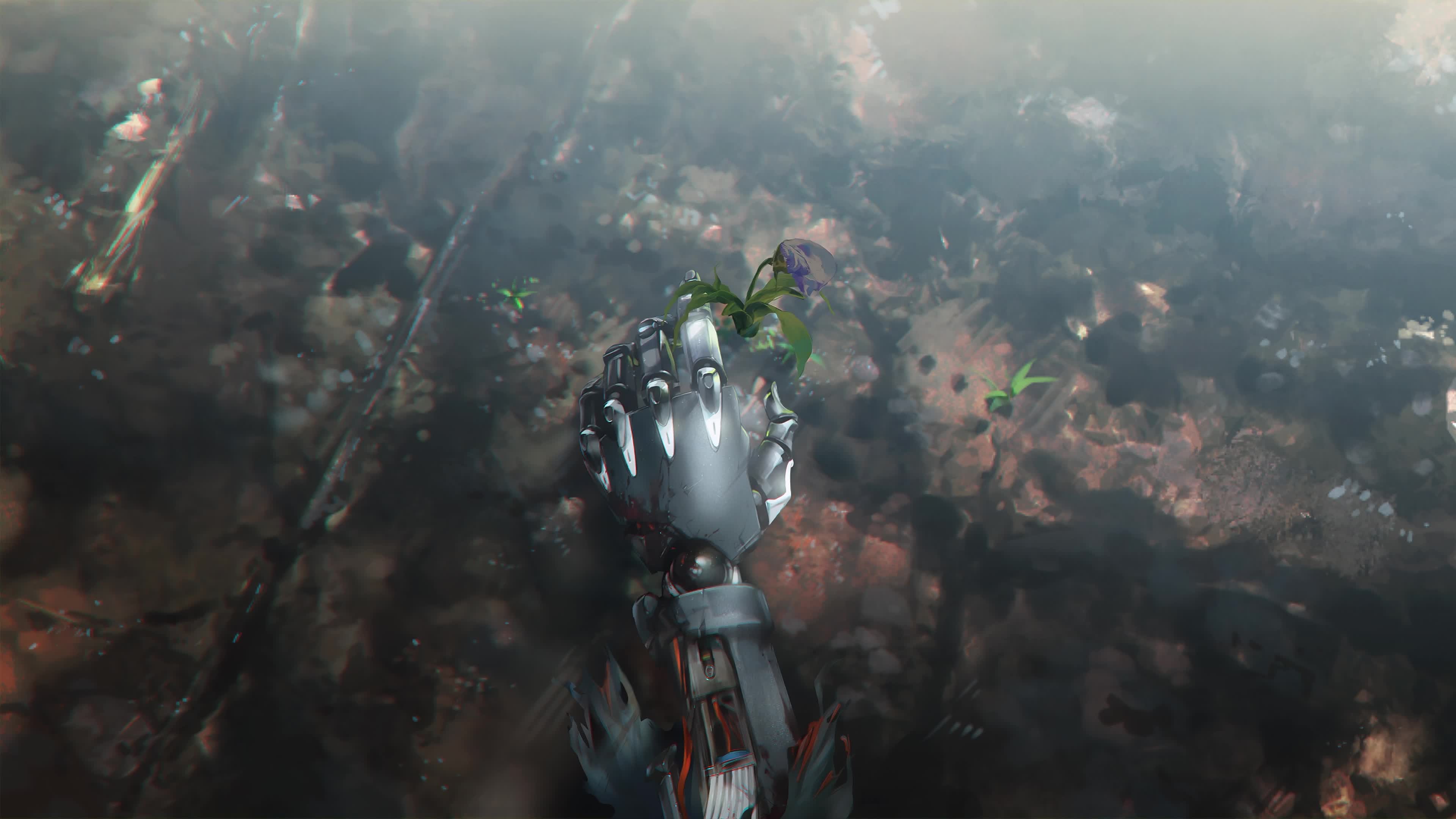 Fullmetal Alchemist Edward 4K