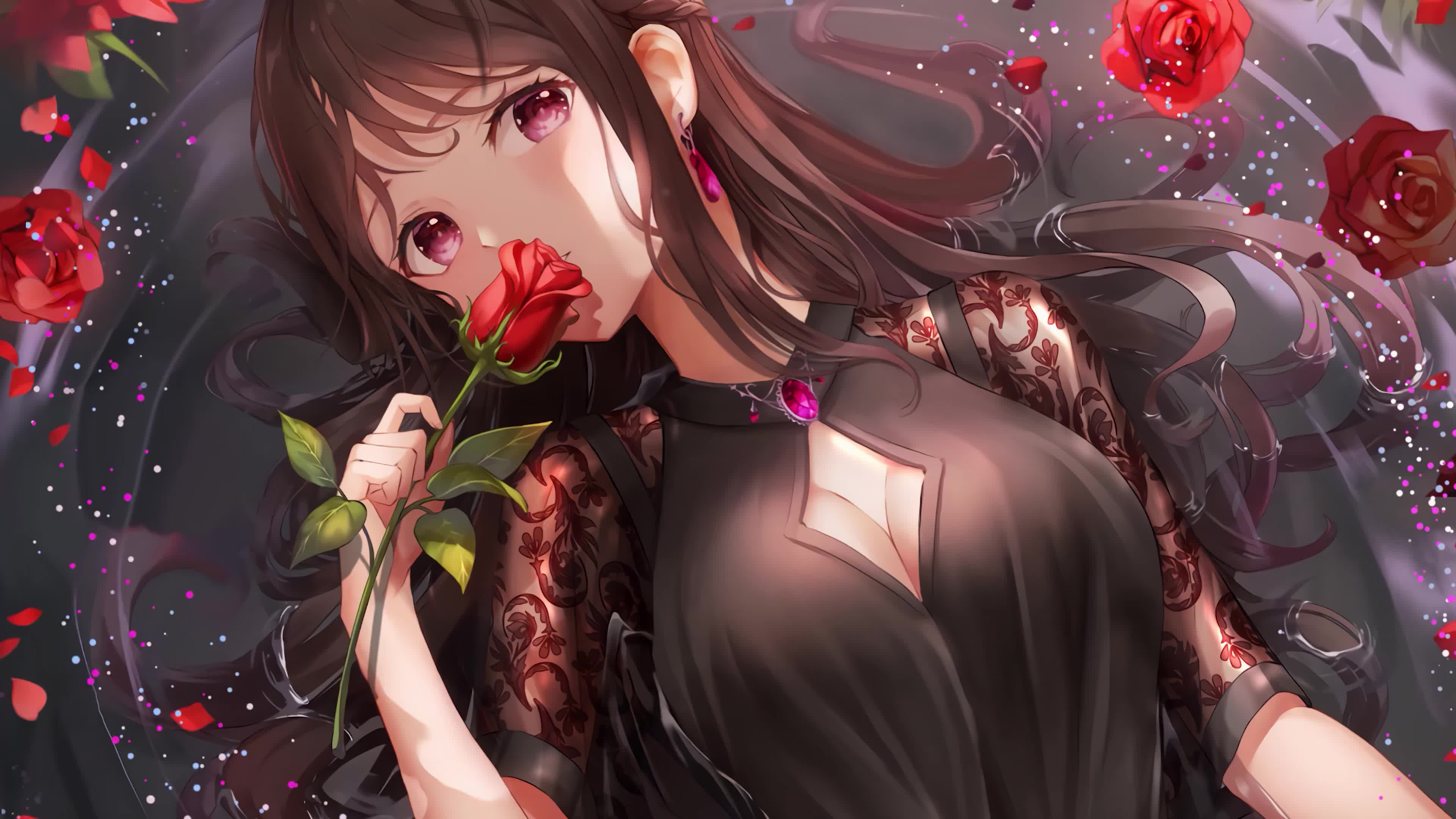 红玫瑰 Red Rose 4K60FPS