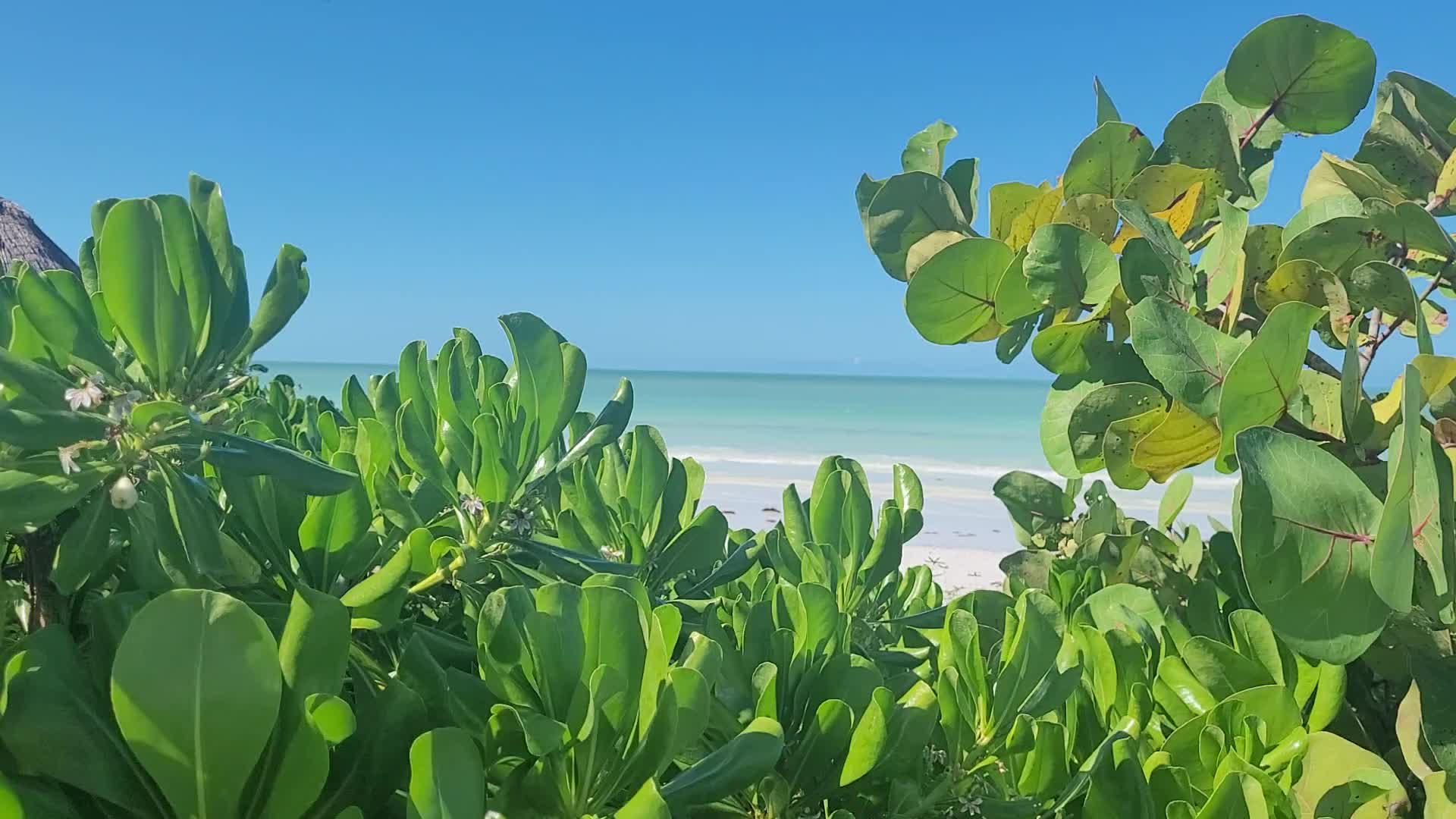 Playa Del Carmen Beach