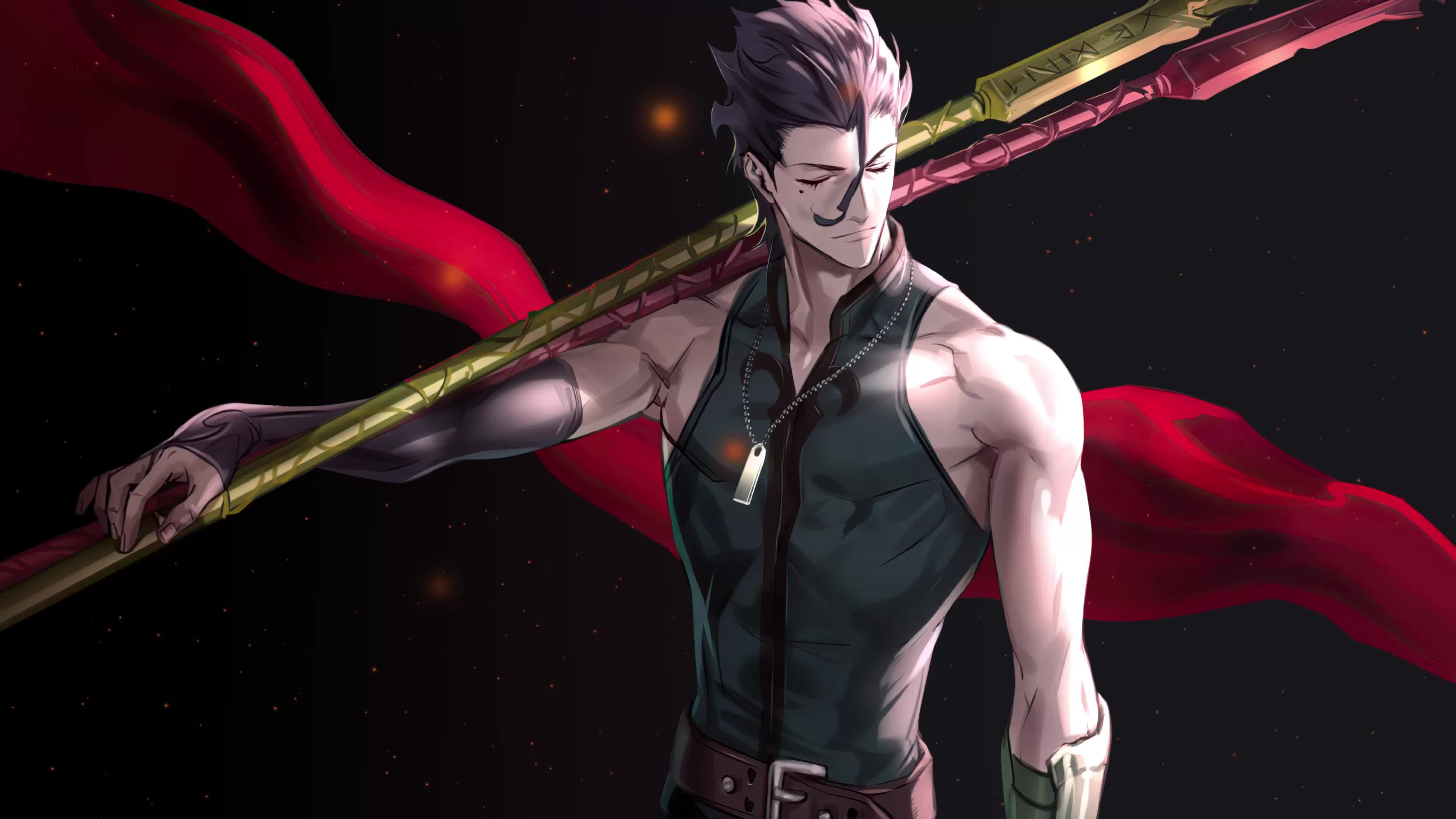 Fate Series Cybust Lancer PC