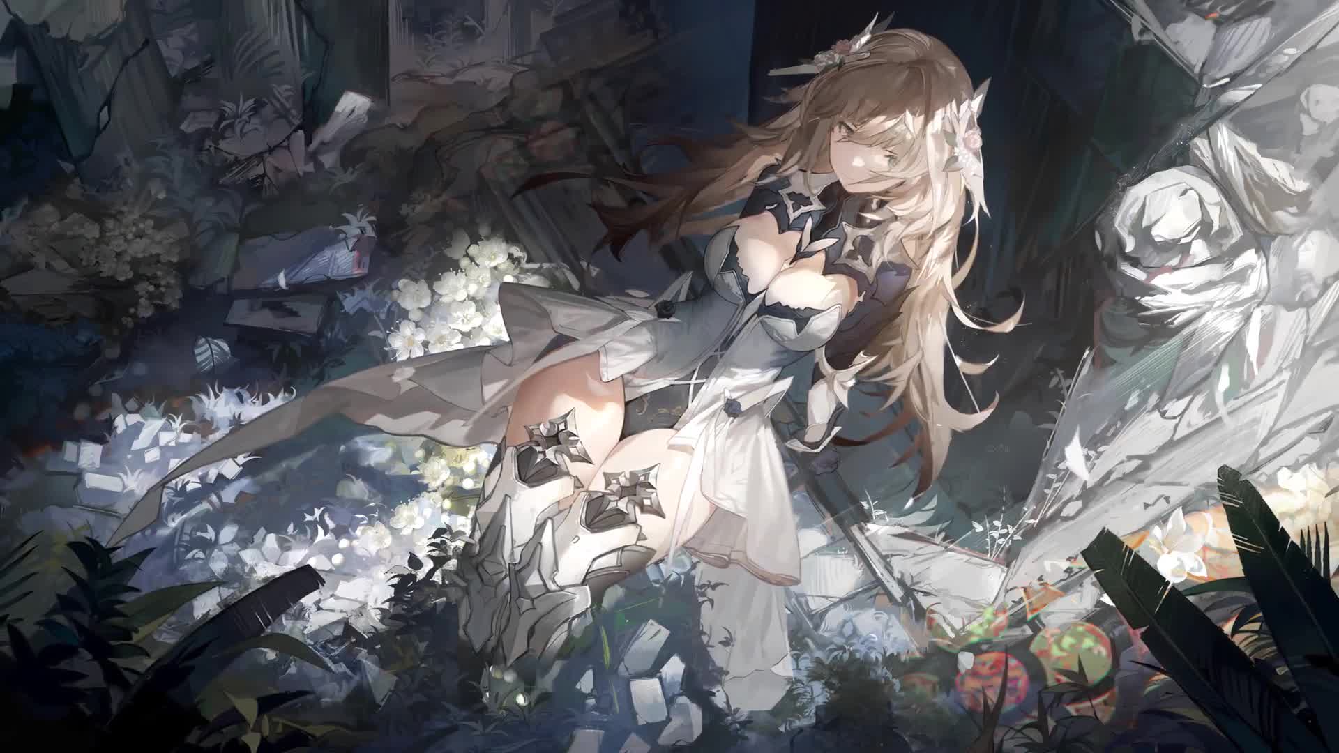 拾梦白菀（剧情过场）03 live wallpaper