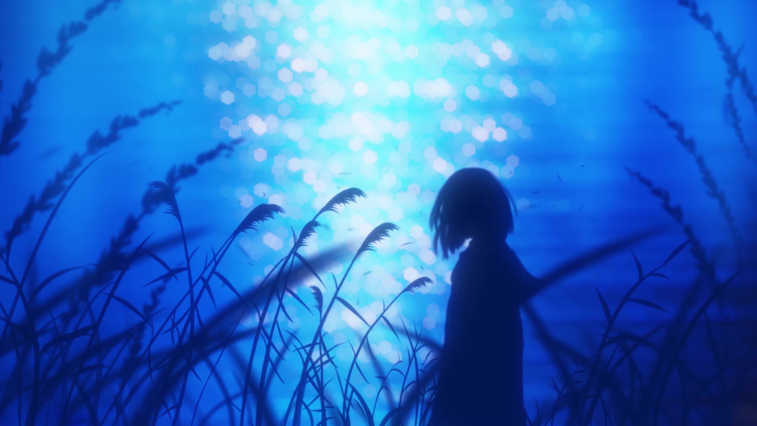 月色背637 live wallpaper