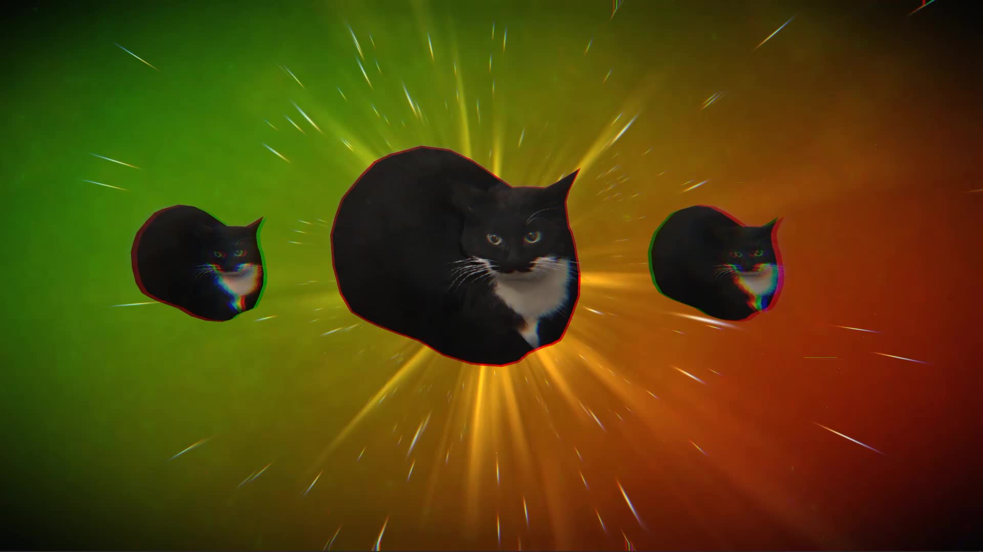 Maxwell The Cat Wallpaper