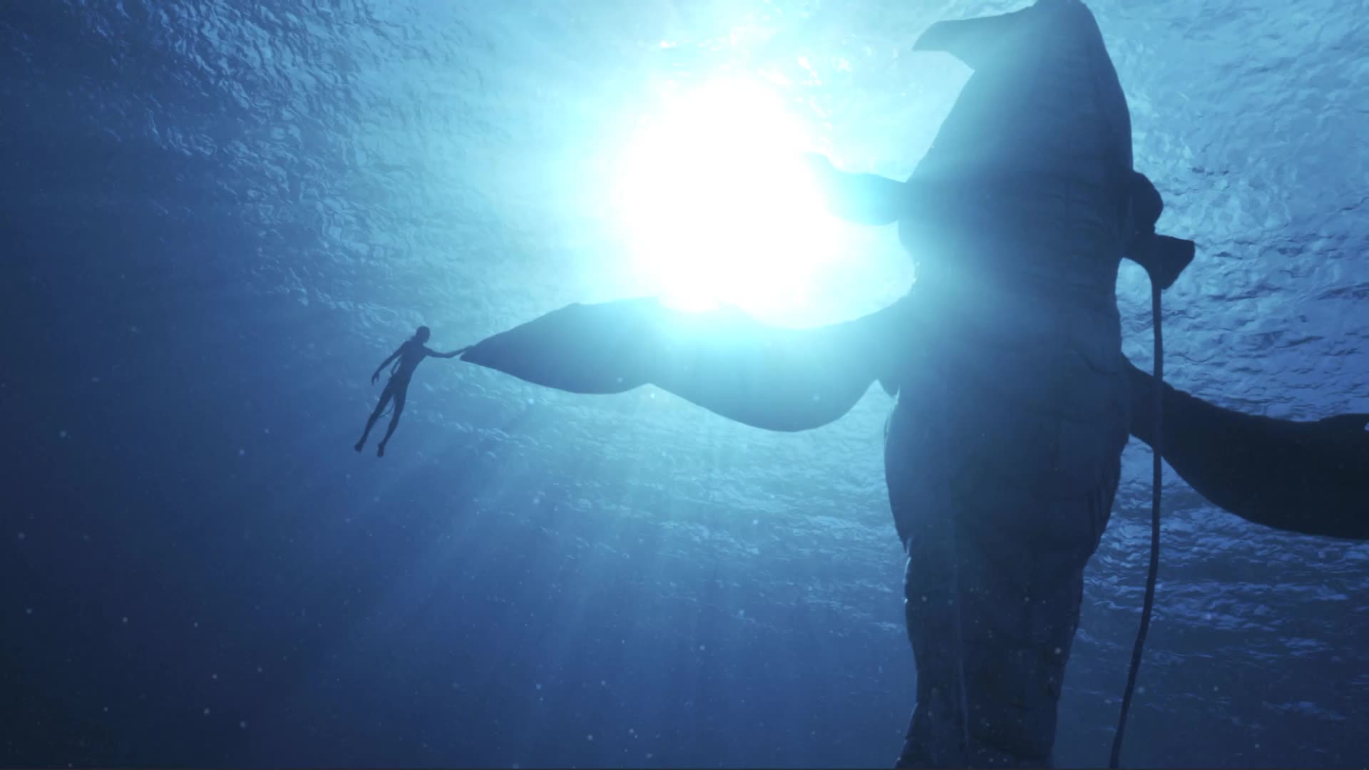 Avatar The Way of Water