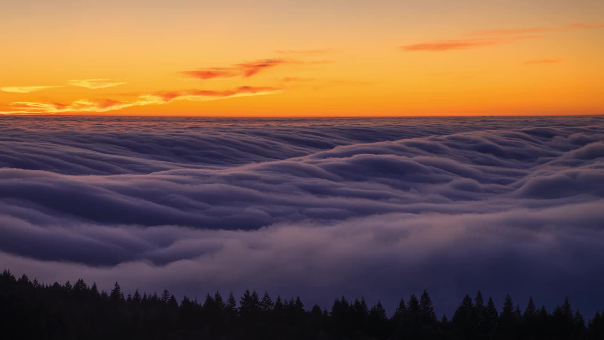 SunsetFog MtTam nimiaRM 4K 617008 1080 HD ZH CN