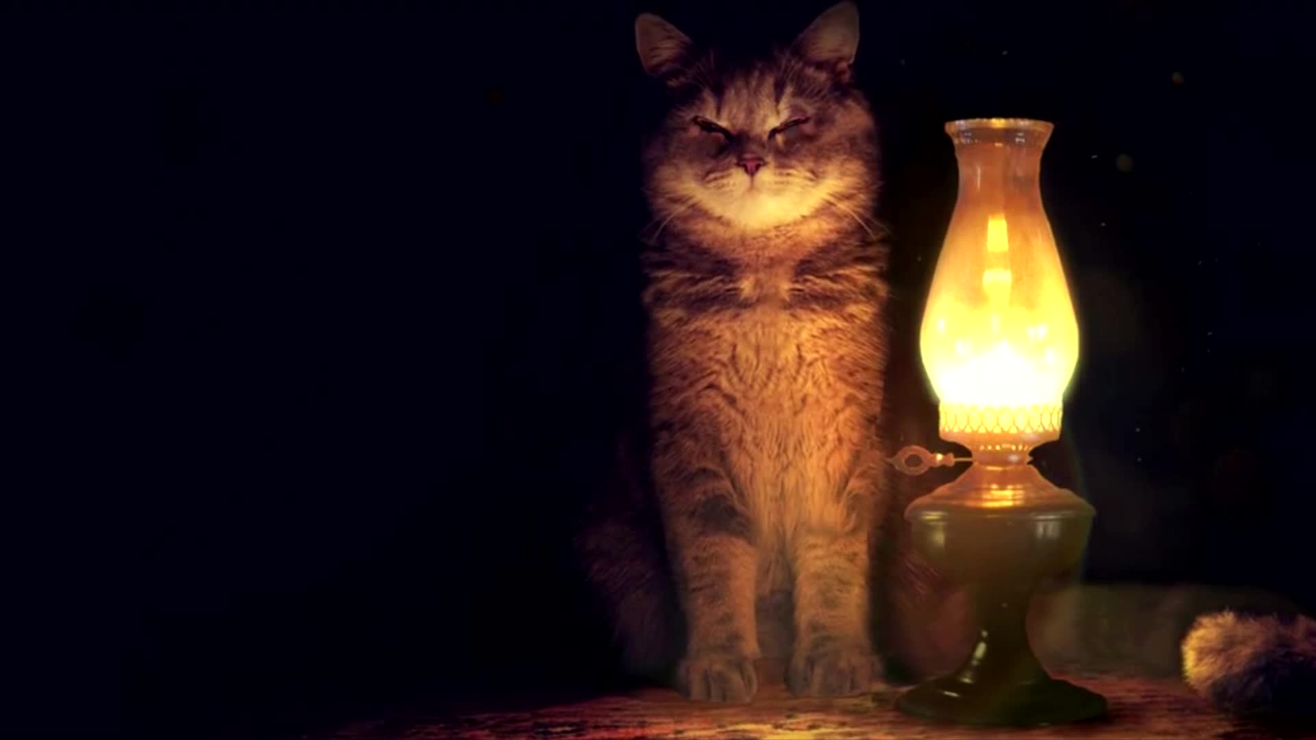 Lamp and Cat