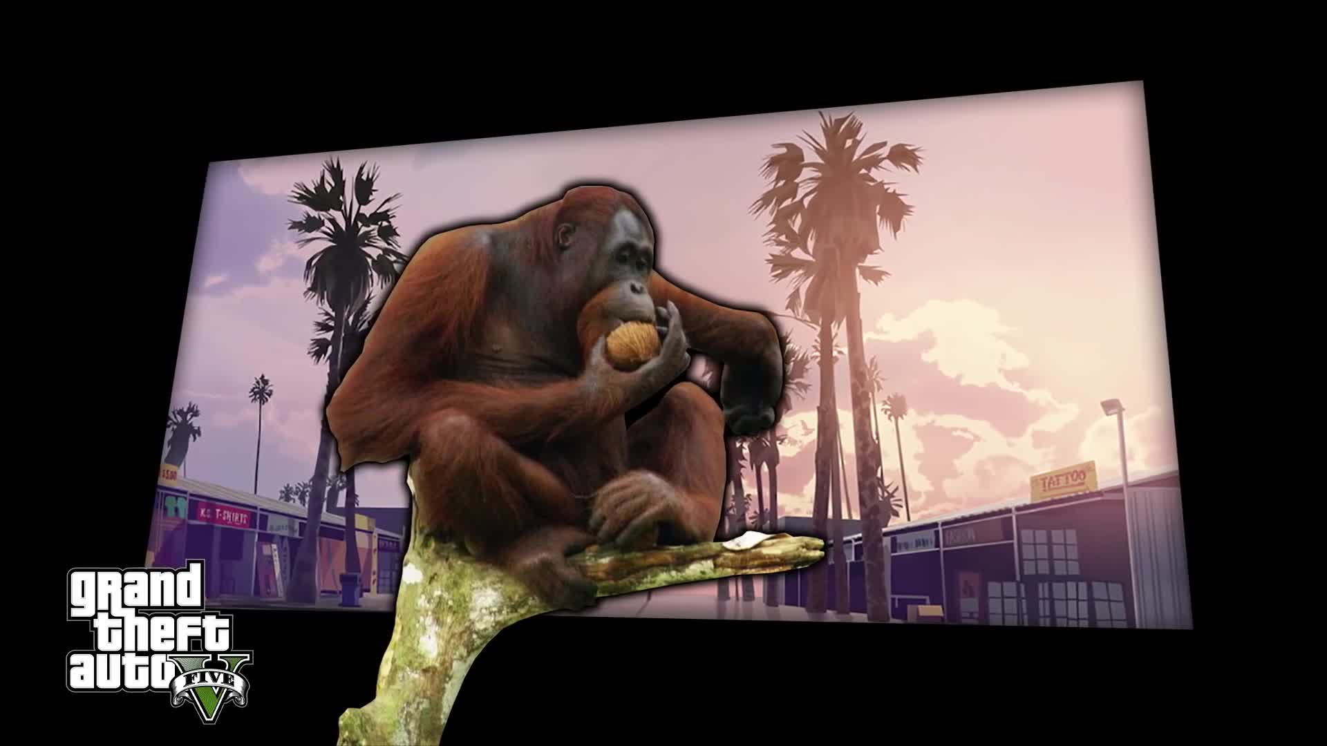 yt5sio monkey drives in los Santos 1080p