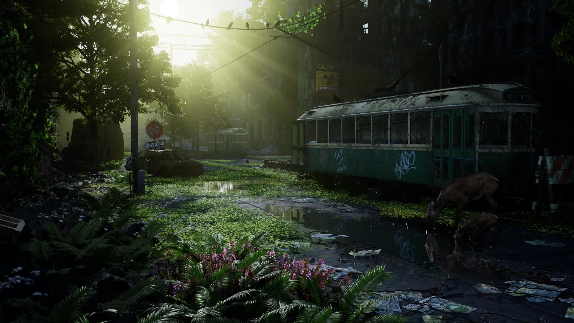 Apoc10000 live wallpaper