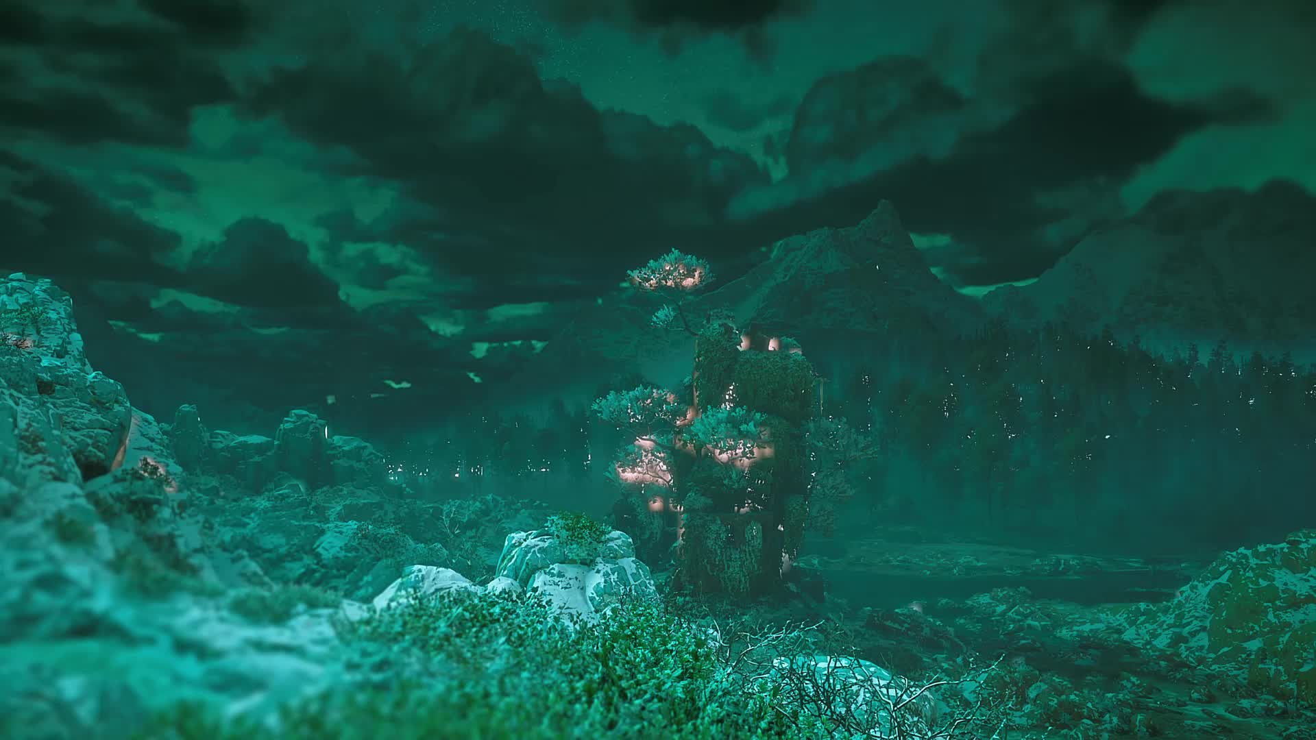 HZD tree riverside less cloudy 24h