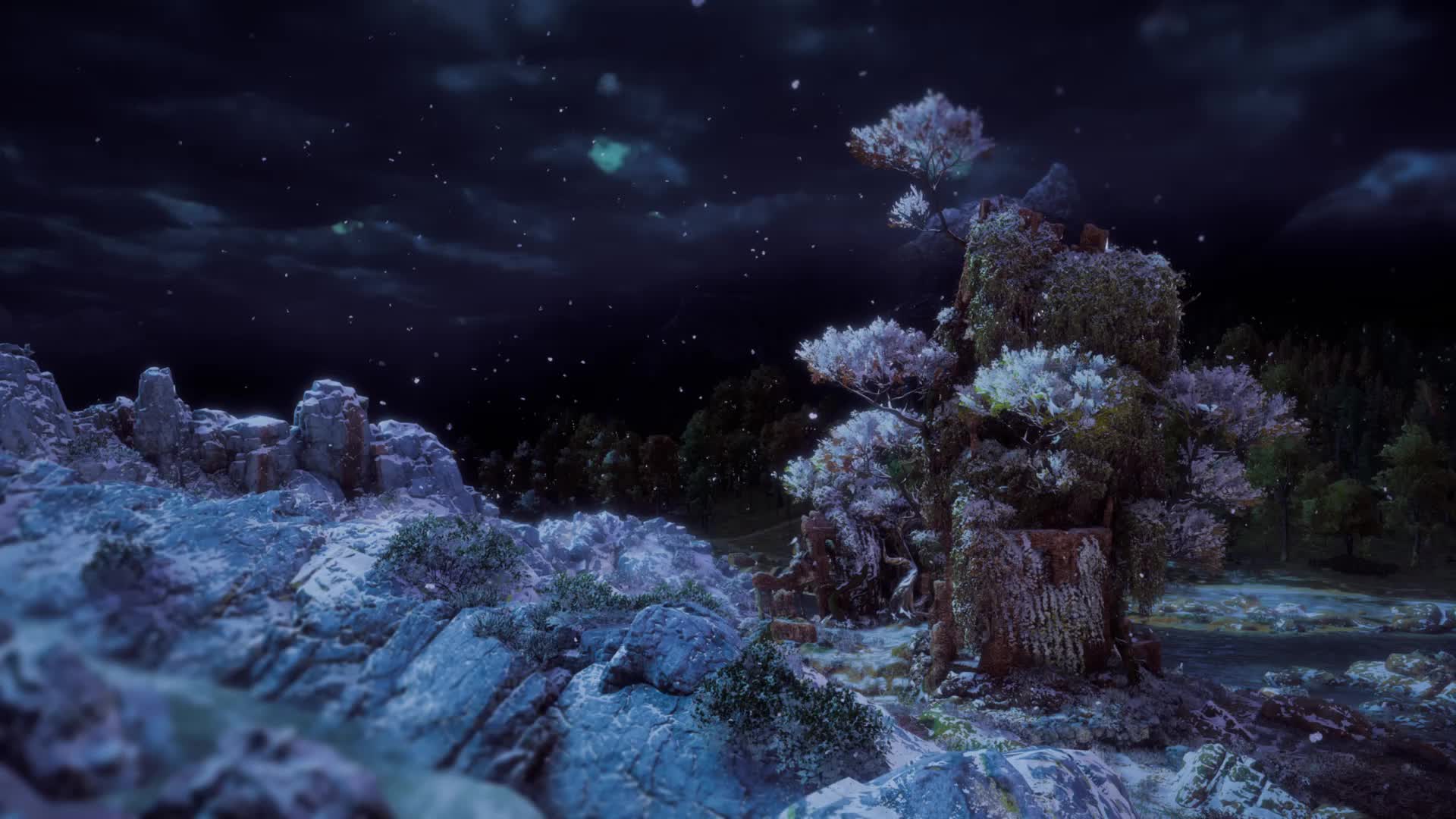 HZD tree riverside winter 24h