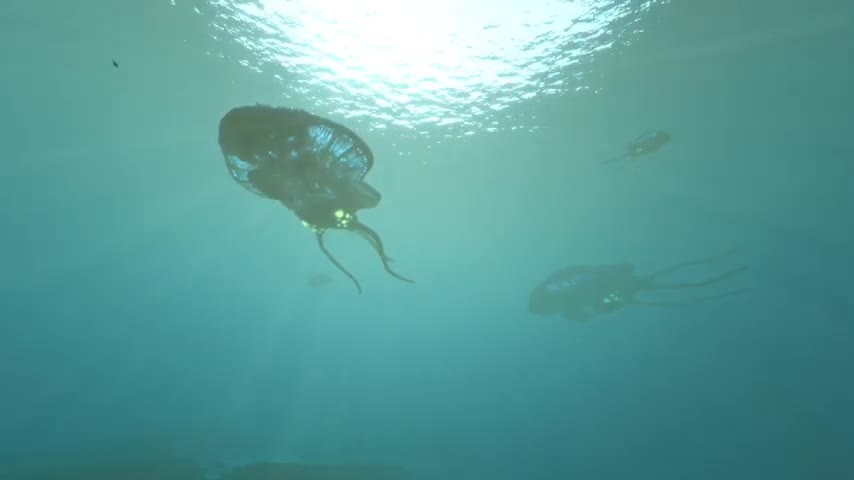 subnautica live wallpaper fhd reefbacks