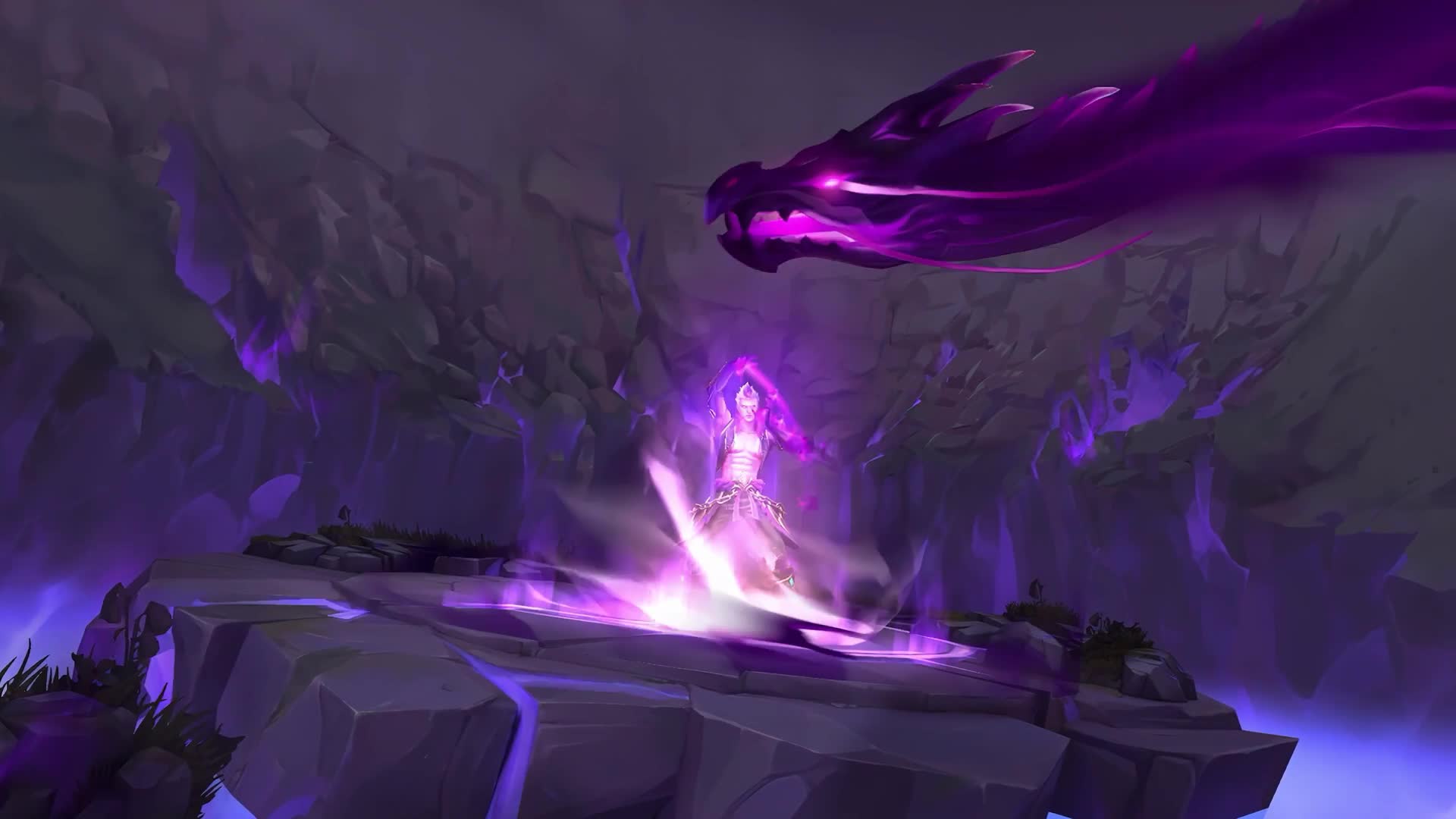 Venerable Dragon Brand