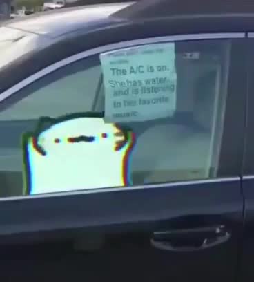 Cat In The Car Listening To Her Favorite Song